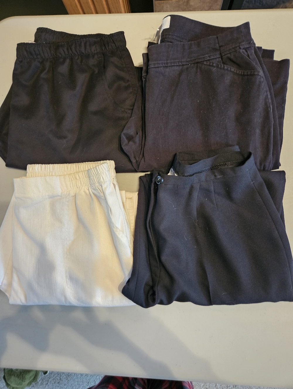 Ladies Size 12P Bundle